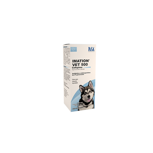IMATION VET - PISA