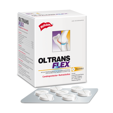 OLTRANSFLEX TABLETAS - HOLLIDAY