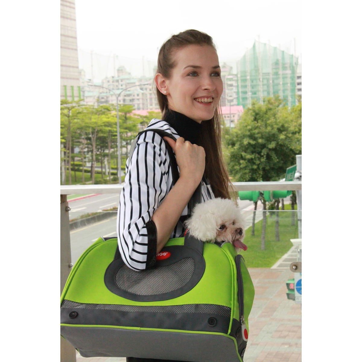 Argo Bolsa Petaboard Avión Aprobada para Vuelo Verde Mediana