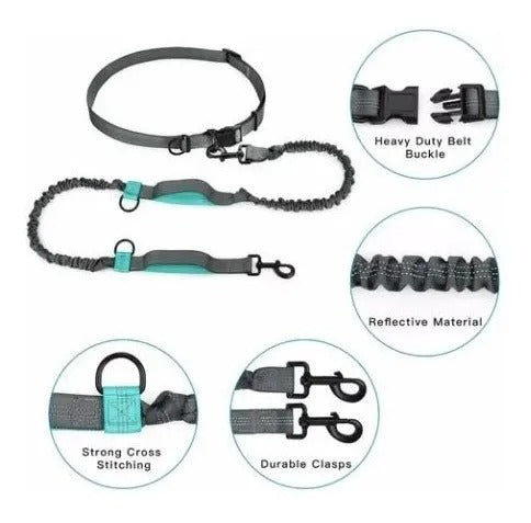 CORREA Y COLLAR CON RESORTE P/PERRO MEDIANA FIAME