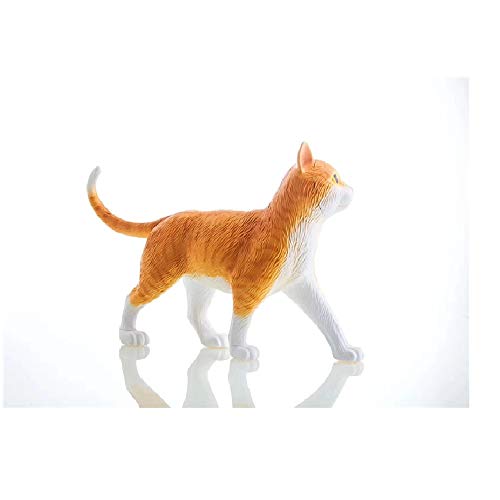 4D modelo gato anatomico