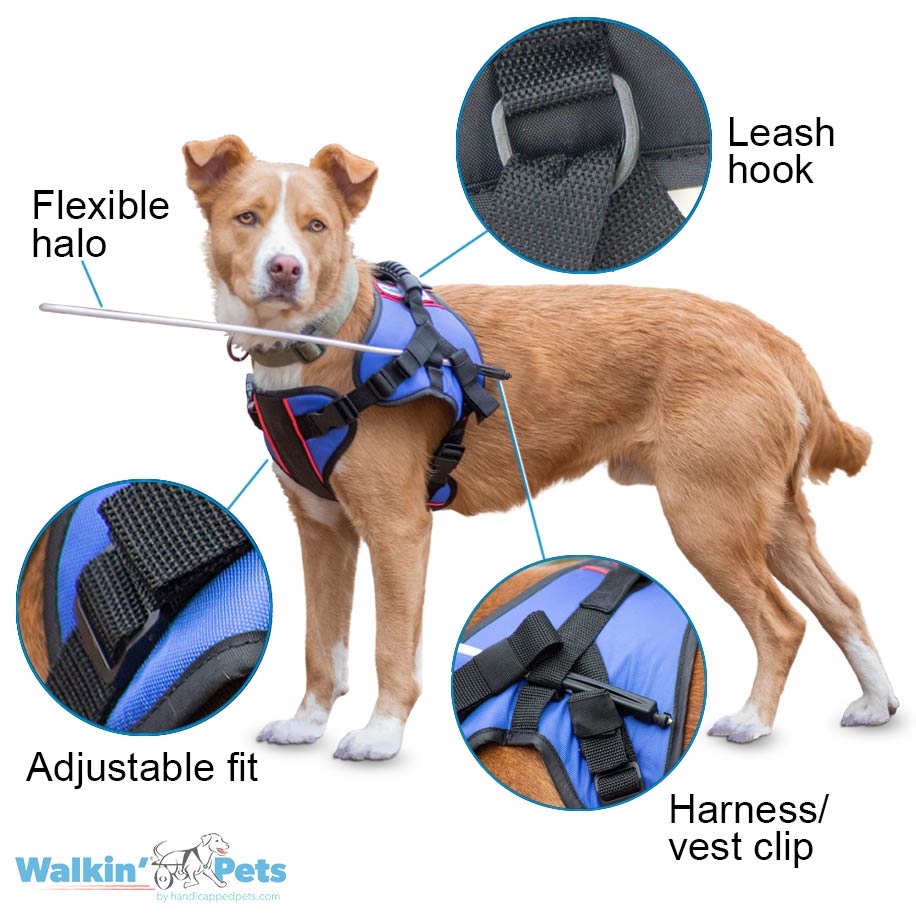 Walkin Pets Halo con chaleco frontal