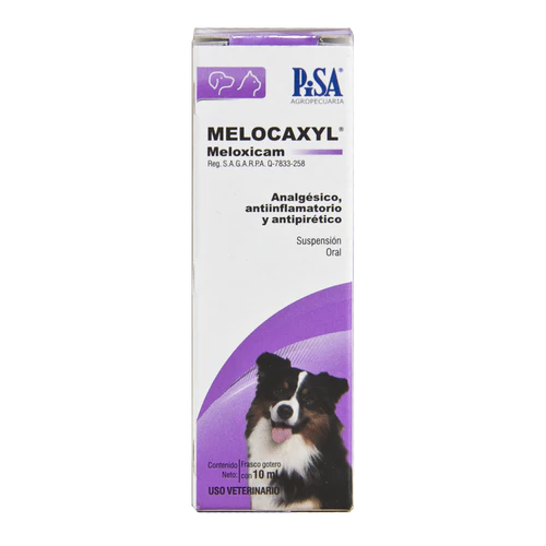 MELOCAXYL SUSPENSION ORAL - PISA