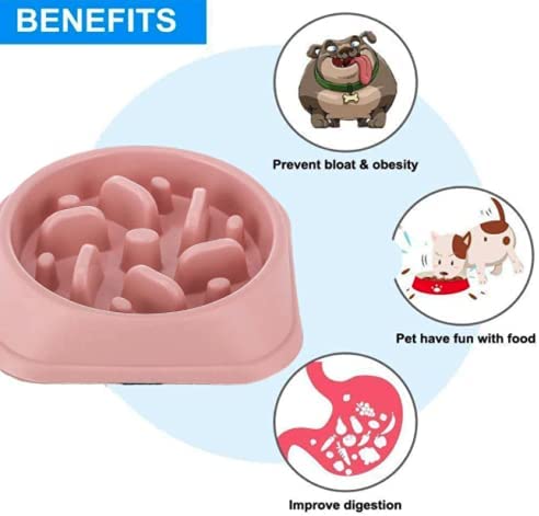 Grand Pet Plato para Comer Lento (Rosa) para perros chicos