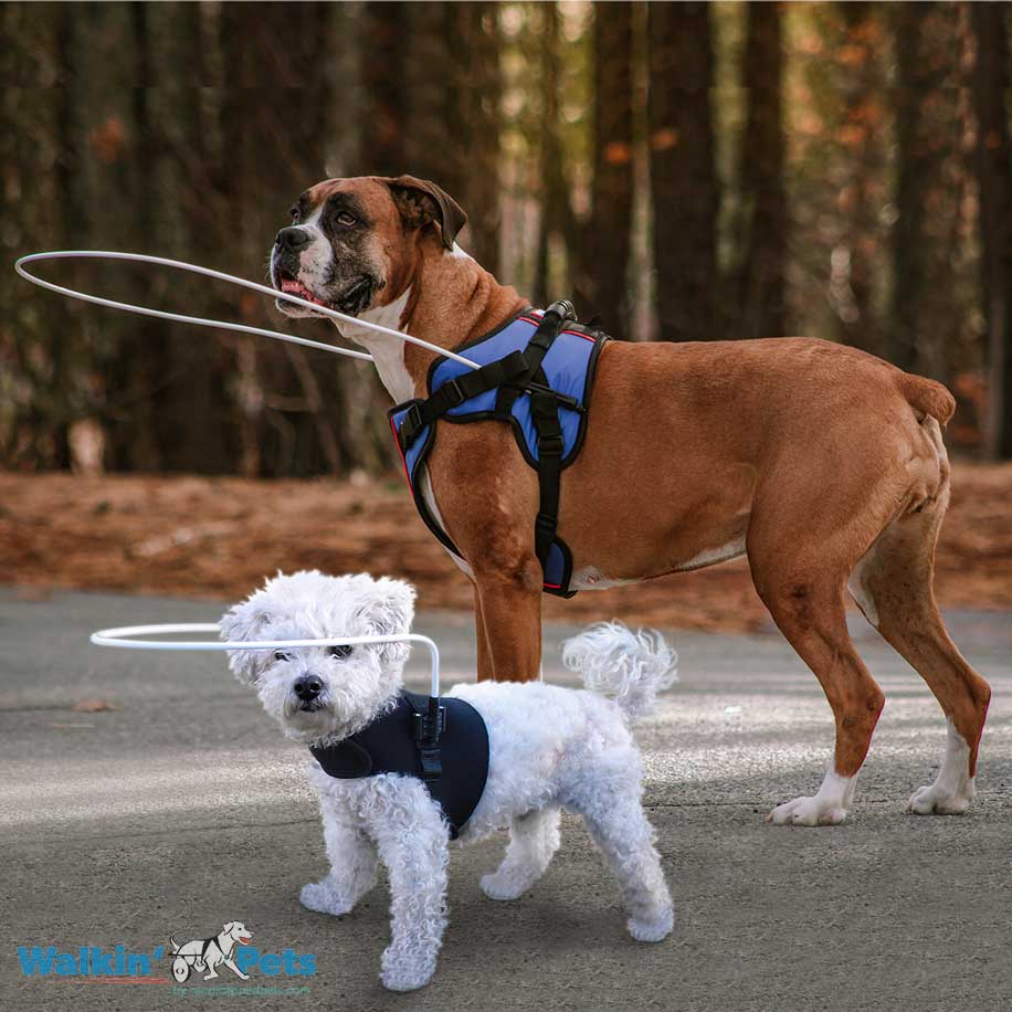 Walkin Pets Halo con chaleco frontal