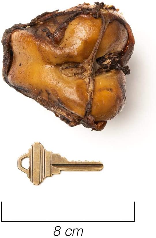 MINI JAWBRAKER (3 PIEZAS) - PETSTAR