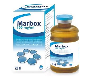 MARBOX 100 ML CEVA
