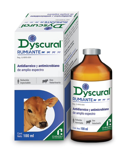 DYSCURAL RUMIANTE CHINOIN