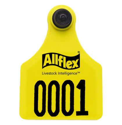 Arete Allflex Grande( HEMBRA ) Varios S/N C/25