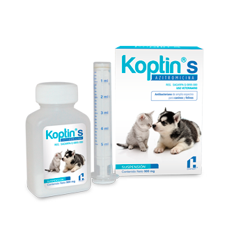 KOPTIN S SUSPENSION ORAL - CHINOIN