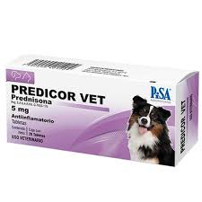 PREDICOR VET C/20 Tab