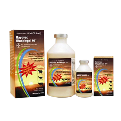 BLACKLEGOL 10 50 ML 25 DS BAYER