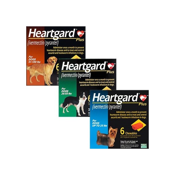 HEARTGARD PLUS - BOEHRINGER