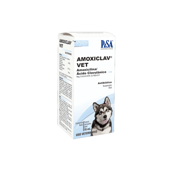AMOXICLAV VET POLVO P/ SUSP. ORAL - PISA