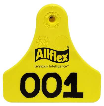 Arete Allflex Mediano S/N