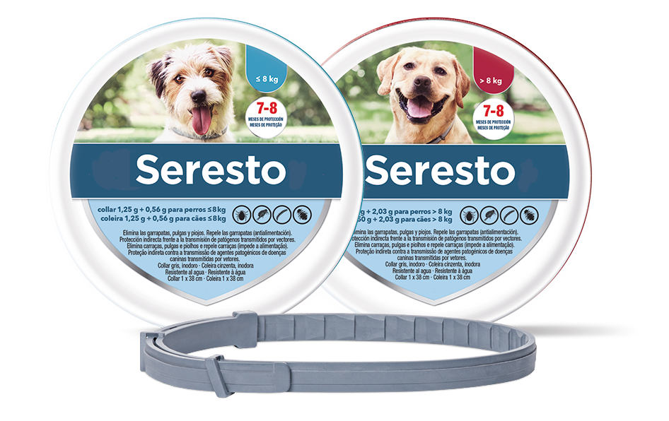 Seresto Collar Antipulgas y Garrapatas para Perros Y Gatos Menores de 8 kg