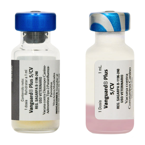 Zoetis Vanguard PLUS 5/CV