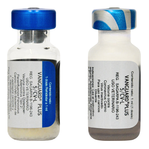 Zoetis Vanguard PLUS 5/L