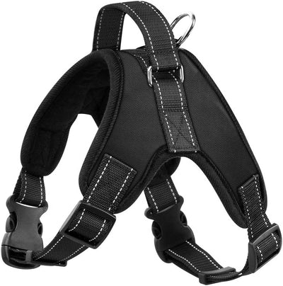 Arnes para perro
