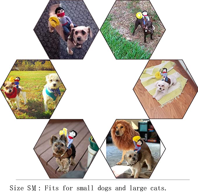 HW14 Disfraz Jinete, Paw Pets
