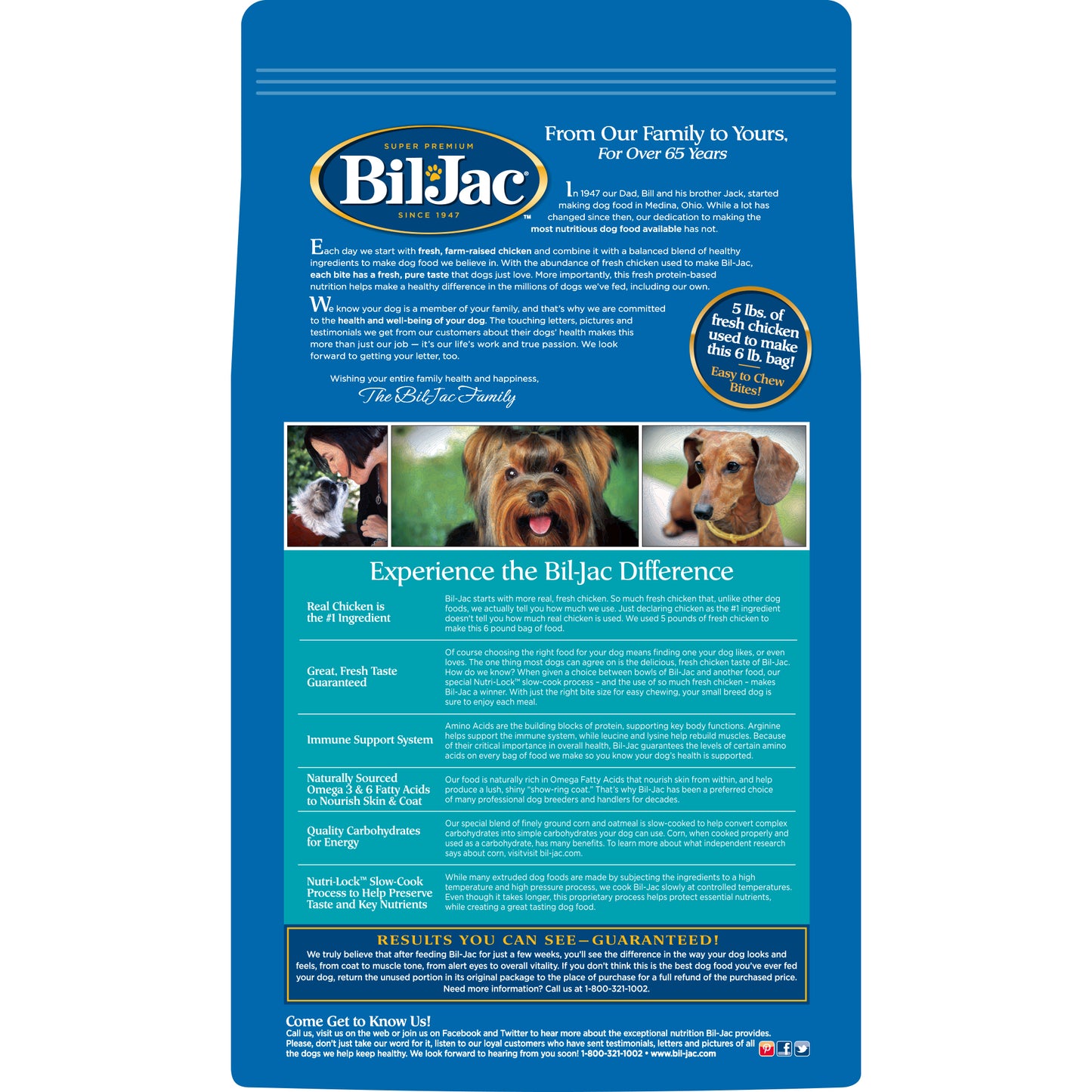 Bil-Jac Perro Adulto Raza Pequeña