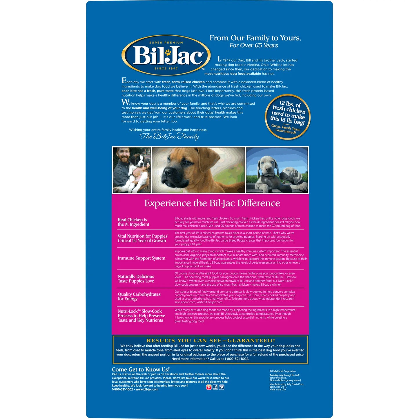 Bil-Jac Cachorro Raza Grande