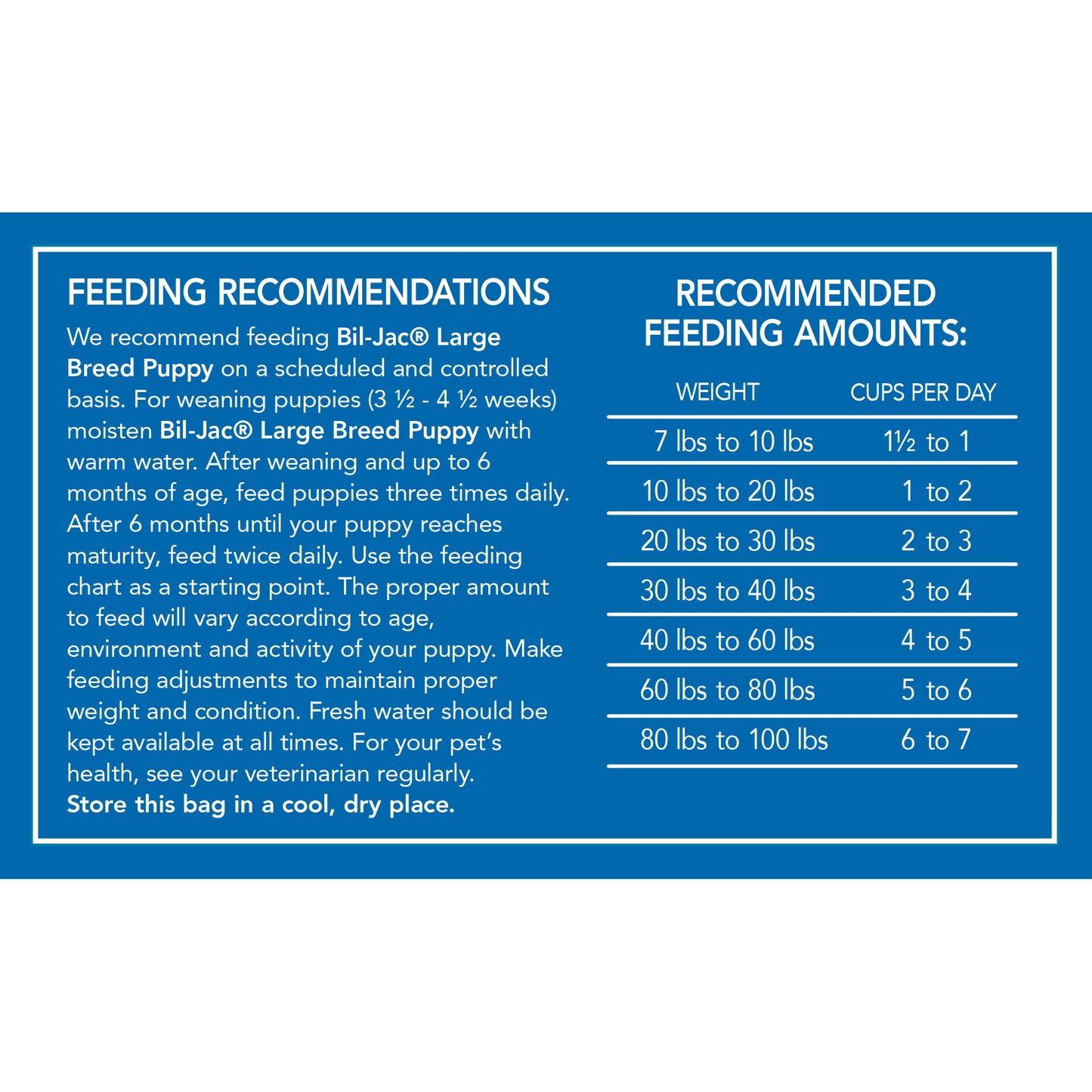 Bil-Jac Cachorro Raza Grande