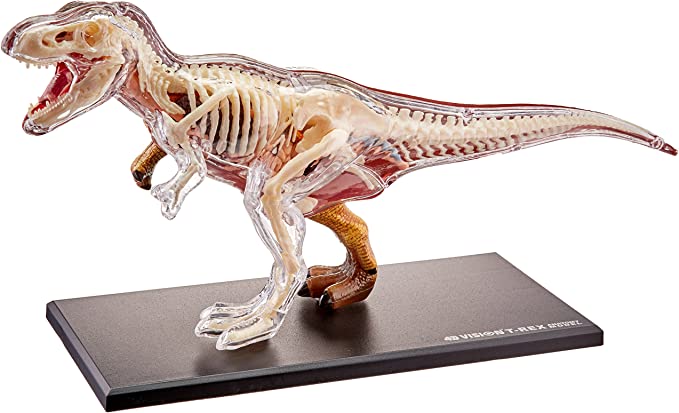 4D Modelo anatomico para armar, Tiranosauro Rex