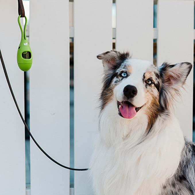 DISPENSADOR DE BOLSAS CON 15 BOLSAS SIN OLOR - EARTH RATED