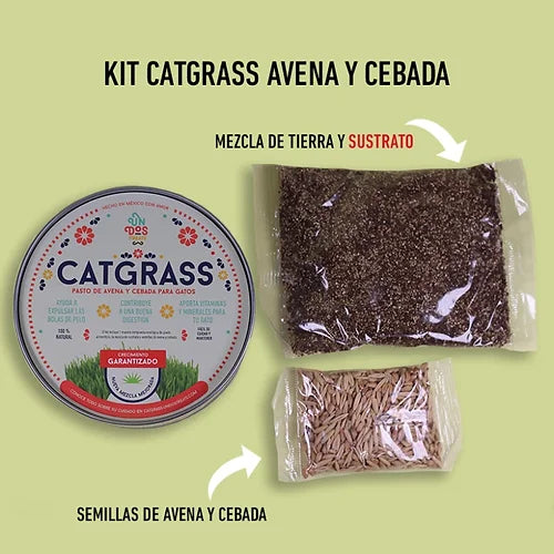 CAT GRASS - PASTO DE AVENA Y CEBADA PARA GATOS - UN DOS TREATS