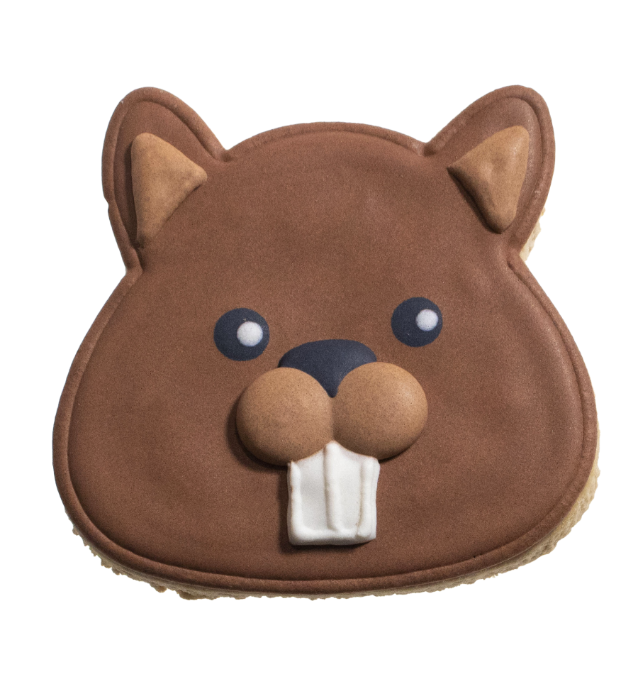 Woofkies Galleta Decorada Colección PlayMate 16 piezas