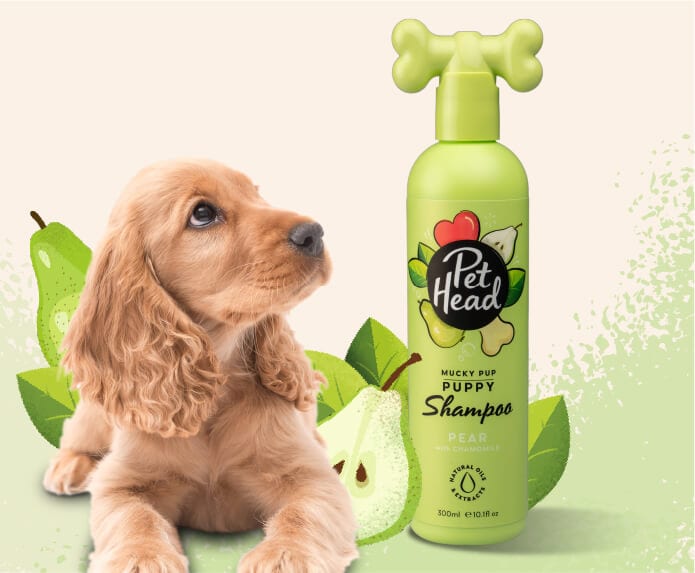 Pet Head Shampoo Mucky Pup Pera con Manzanilla Cachorro 475ml