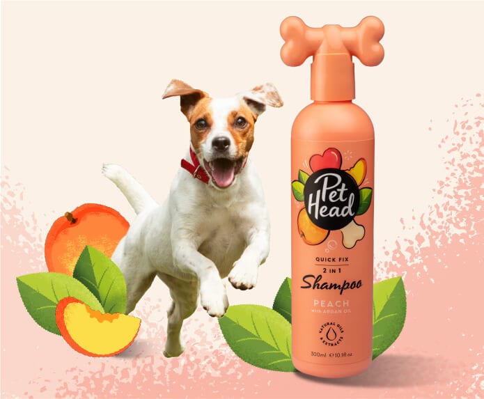 Pet Head Shampoo 2en1 Quick Fix Durazno con Aceite de Argan Perro 475ml
