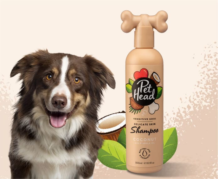 Pet Head Shampoo Natural Sensitive Soul Perro Coco-Avena 475ml