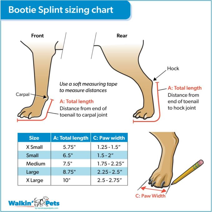 Walkin Pets Férula De Bota