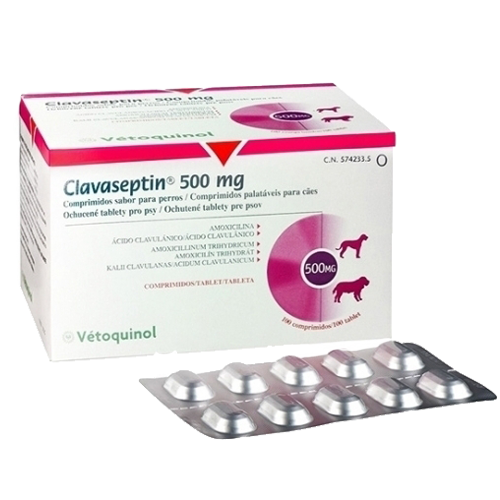 CLAVASEPTIN - VETOQUINOL