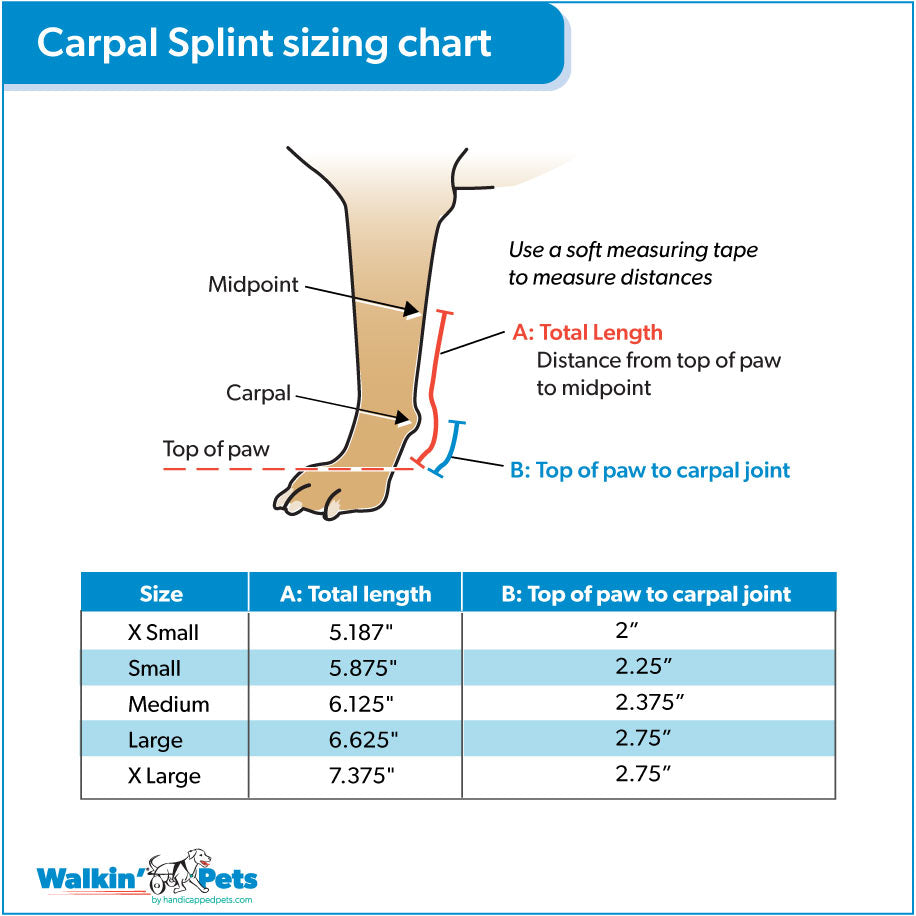 Walkin Pets Férula Carpal