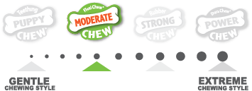 Nylabone Juguete Power Chew Dental