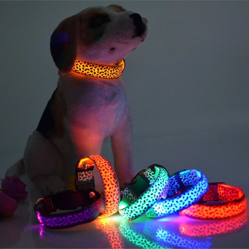 Collar LED (Manchas) pila incluida