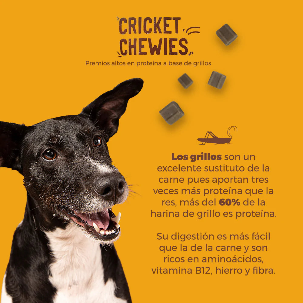 CRI CREATS PREMIOS A BASE DE GRILLOS PARA PERROS - PETIT MONSTERS