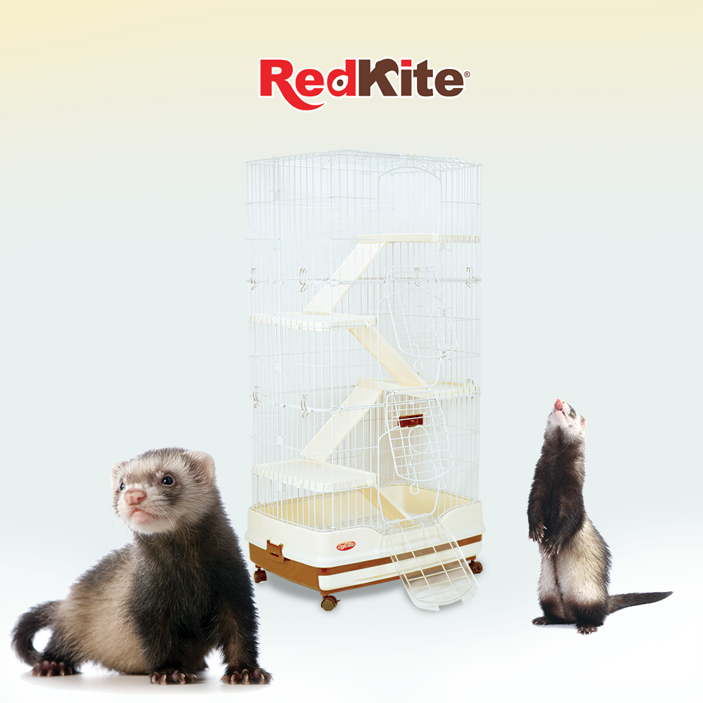 JAULA DIPLOMAT PARA HURÓN