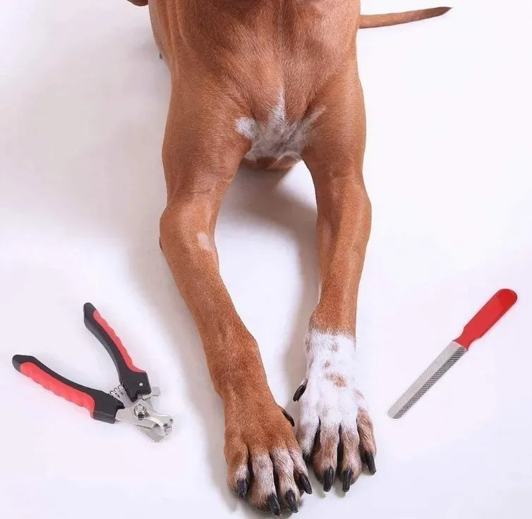 RYUFE Corta uñas para perro con lima