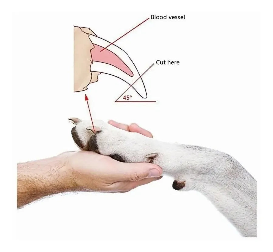 RYUFE Corta uñas para perro con lima