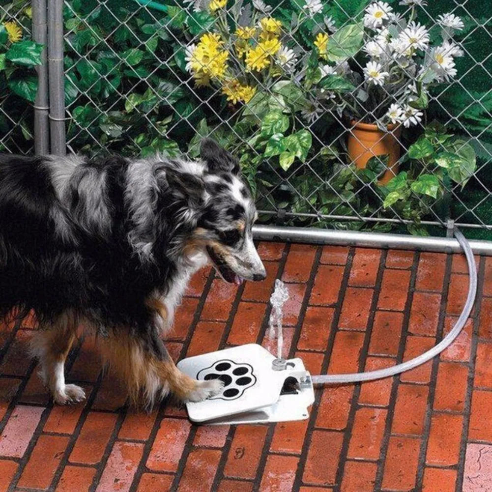 Grand Pet Bebedero automatico de pedal