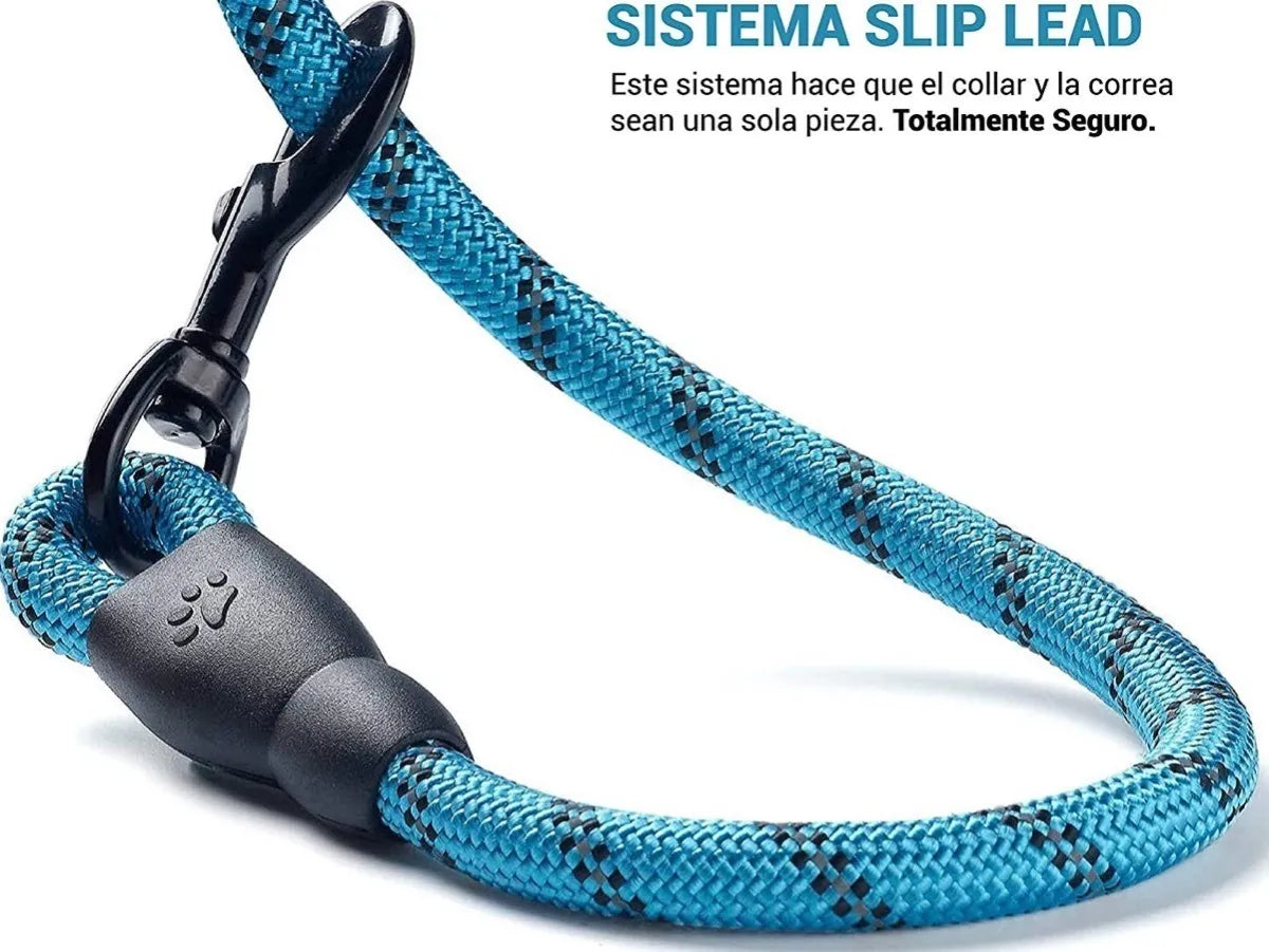 Grand Pet Correa gruesa Varios colores