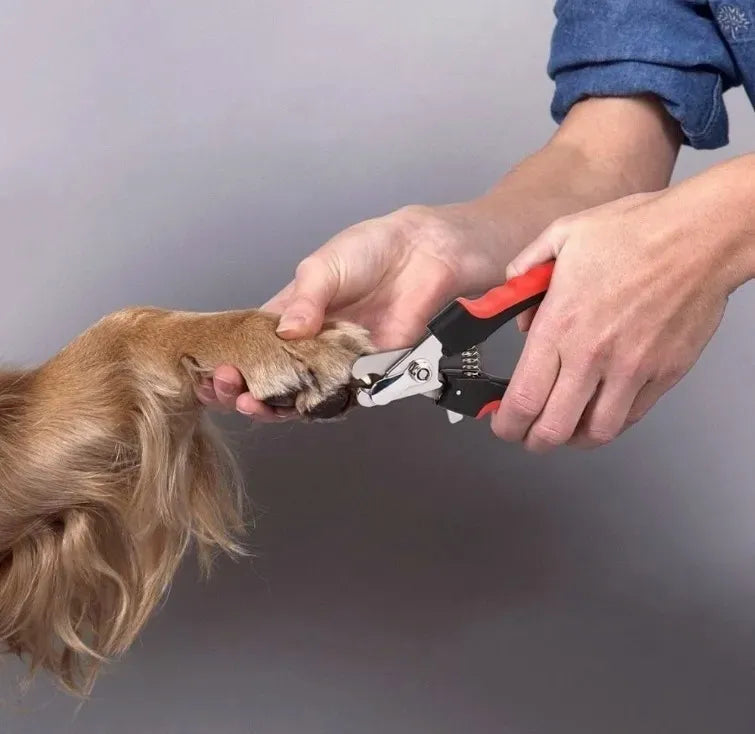 RYUFE Corta uñas para perro con lima