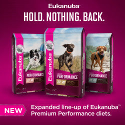 EUKANUBA PREMIUM PERFORMANCE