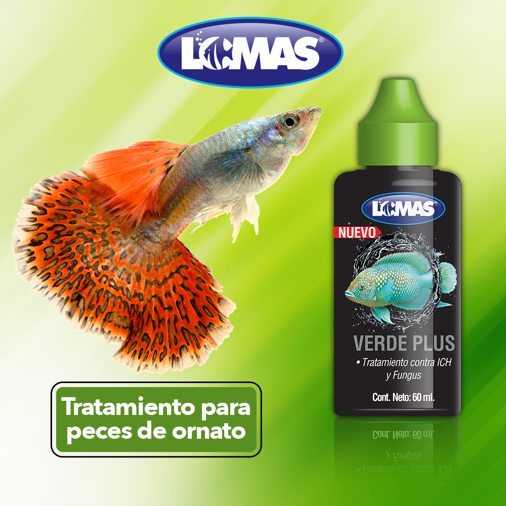 VERDE PLUS PARA PECES
