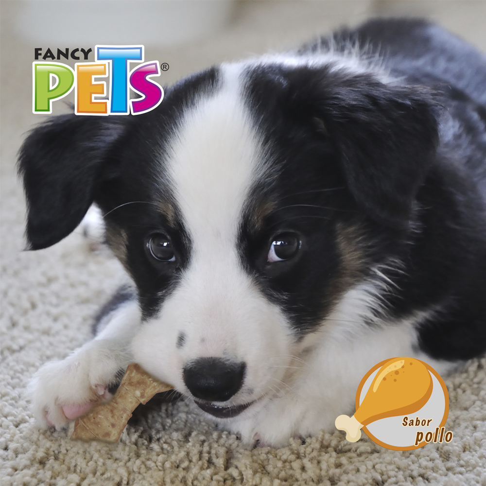 Fancy Pets Carnaza Sabor Pollo (9-10 IN)
