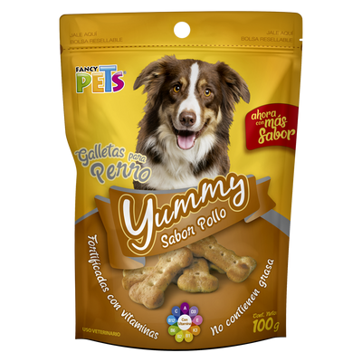 YUMMI GALLETAS PREMIO 100 G